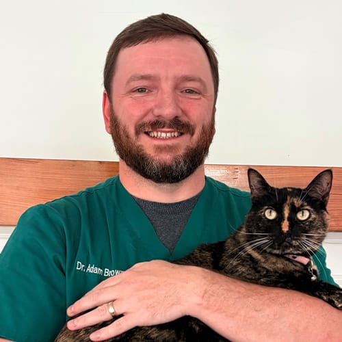 Dr. Brown, Mandeville Veterinarian